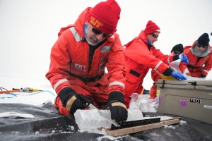 Matt Mills saws  an ice core for the algae at the bottom.