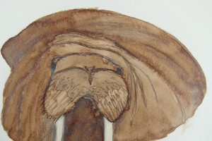 ChelseaDrawingOfTheDay_BrownWalrus