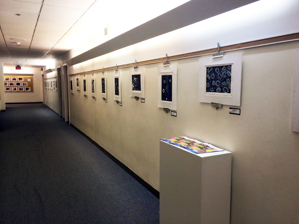 The finished prints displayed at Falmouth Academy