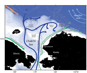 Flow schematic of the Chukchi Sea.