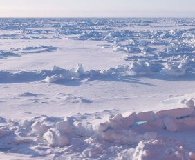 A mix of first year and milt-year ice. The floe’s primary topography is ridges that are formed dynamically as plates collide.