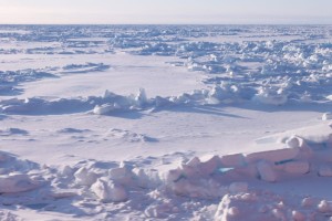 A mix of first year and milt-year ice. The floe’s primary topography is ridges that are formed dynamically as plates collide.