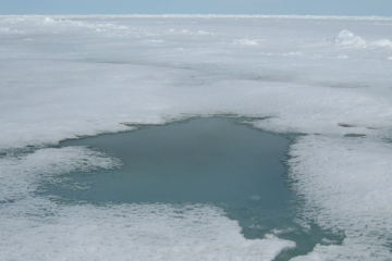 melt pond forming