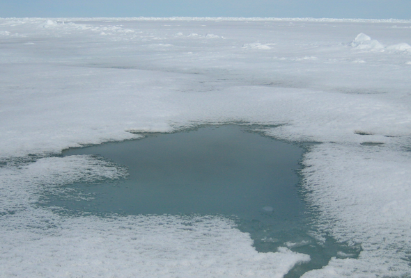 melt pond forming