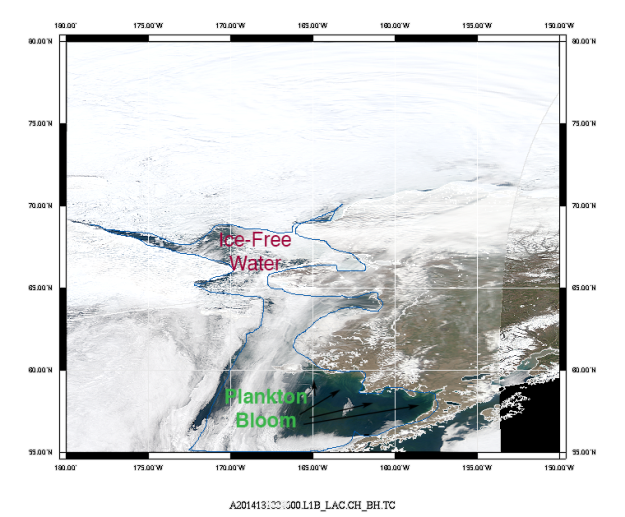 Composite True-Color image from MODIS-Aqua showing open water (outlined in blue) and phytoplankton blooms (indicated by black arrows)